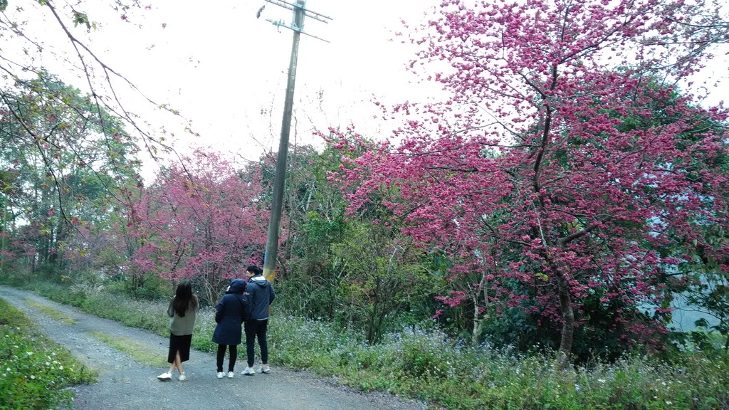 /tmp/php2nLVGy /tmp/php2nLVGy