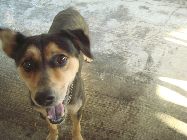 現在的他想趕緊進屋子內