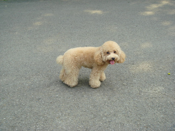 第一次到大安森林公園