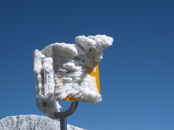 標示都被雪弄成這樣