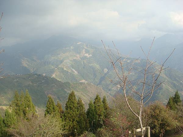 2012 199.jpg
