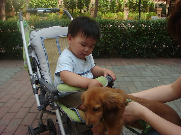 DSC05054.JPG