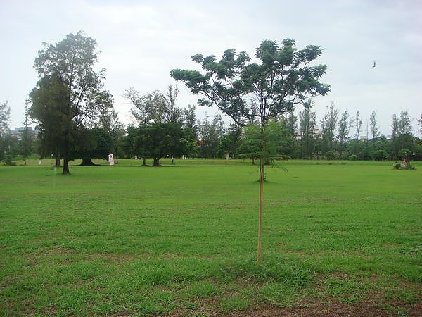 tn_DSC06317.JPG