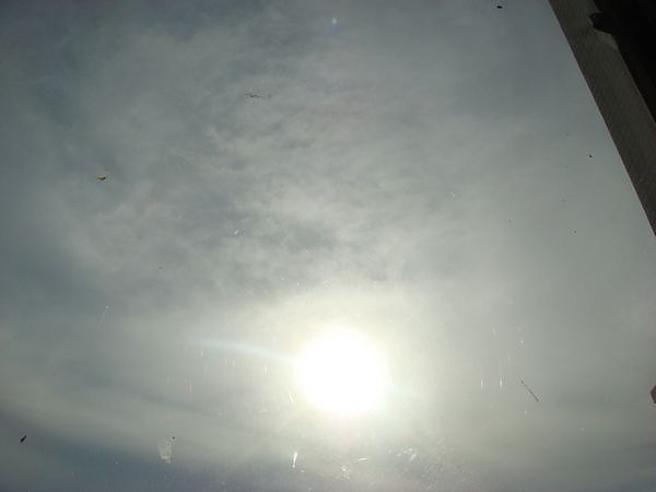 tn_DSC05760.JPG