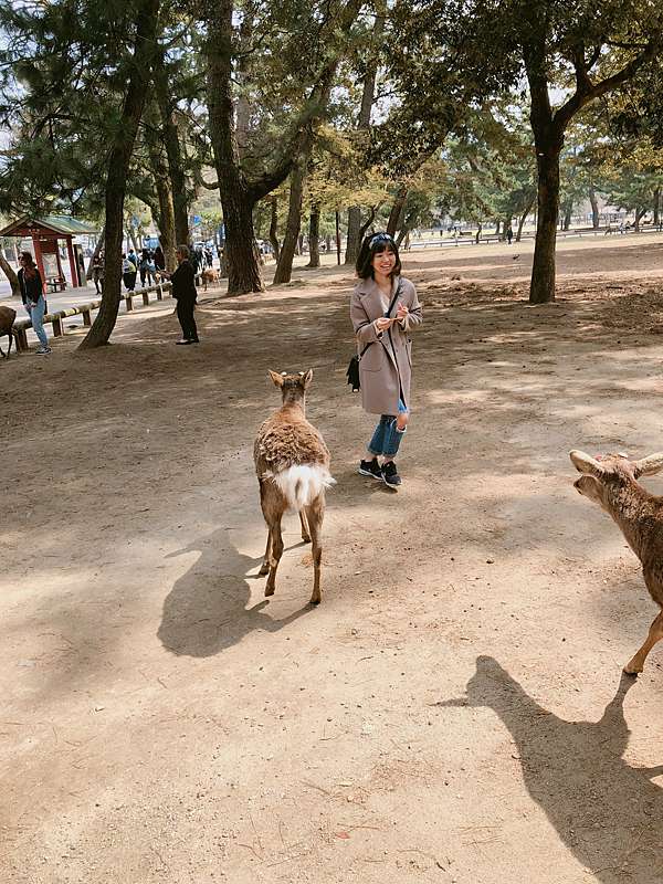 日本奈良宇治 奈良宇治一日遊 奈良公園 春日大社 宇治平等院 中村藤吉 Nien快樂過生活 痞客邦