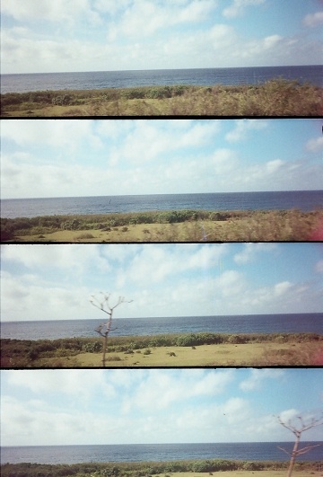 2009/3 FUJI ISO200 畢業旅行 
