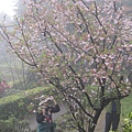 2011.03.12 淡水天元宮賞櫻行 (53).JPG