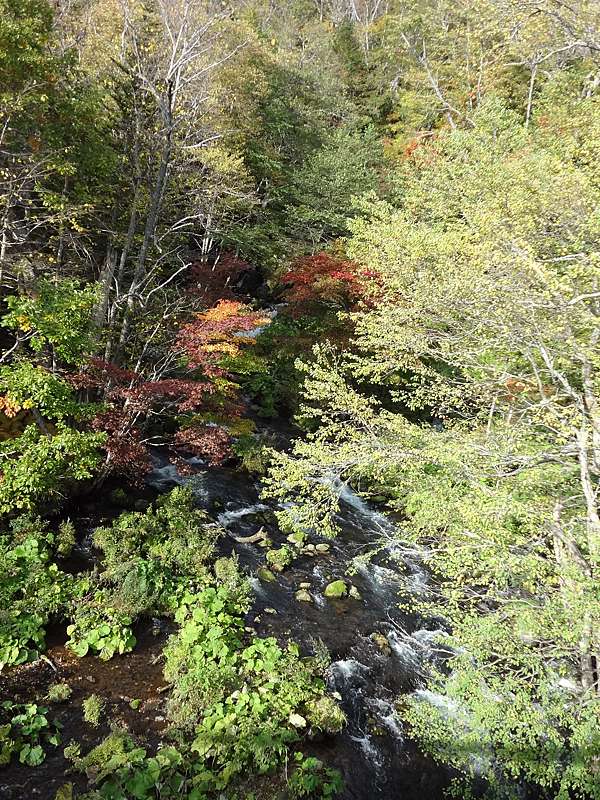 日本北海道 Hi Hokkaido 賞楓自助行 阿寒湖國立公園週邊散策 景點篇 オンネトー湖的湖面風光美得像畫 哈比ju 痞客邦
