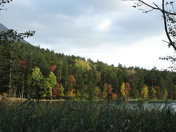 日本北海道 Hi Hokkaido 賞楓自助行 阿寒湖國立公園週邊散策 景點篇 オンネトー湖的湖面風光美得像畫 哈比ju 痞客邦