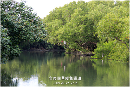 台南四草綠色隧道_05.jpg