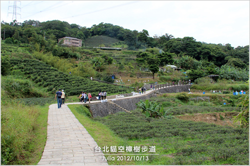 台北貓空樟樹步道_05-2.jpg