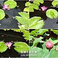 板橋林家花園_30.jpg