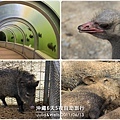 37-動物園-07.jpg