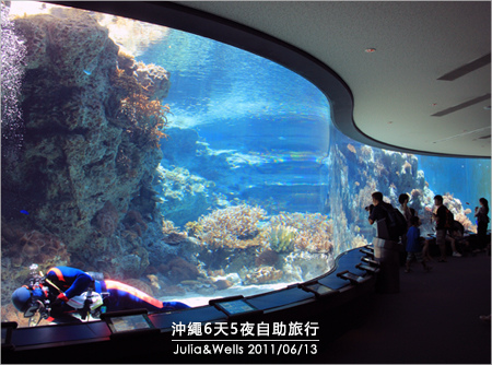 40-沖繩海洋博物館_水族館-02.jpg