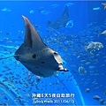 40-沖繩海洋博物館_水族館-09.jpg