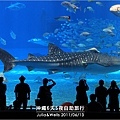 40-沖繩海洋博物館_水族館-12.jpg