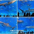 40-沖繩海洋博物館_水族館-13.jpg