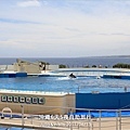 40-沖繩海洋博物館_海豚表演-01.jpg