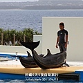 40-沖繩海洋博物館_海豚表演-05.jpg