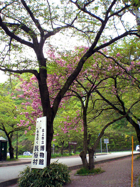 北上展勝地