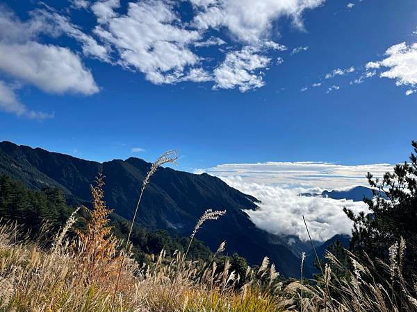 6CCF1B7B-C9D3-490B-8967-25B7DE4FD234 6CCF1B7B-C9D3-490B-8967-25B7DE4FD234