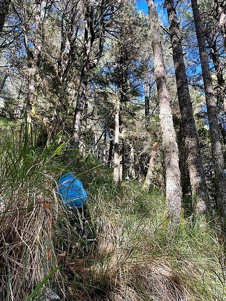 86B385C5-3731-4256-98DB-4BC1587FF82C 86B385C5-3731-4256-98DB-4BC1587FF82C