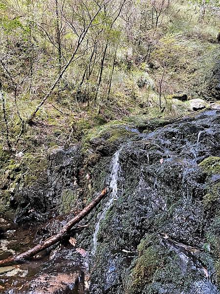 101A3829-7768-49CD-9930-90B1ADB9A76C 101A3829-7768-49CD-9930-90B1ADB9A76C