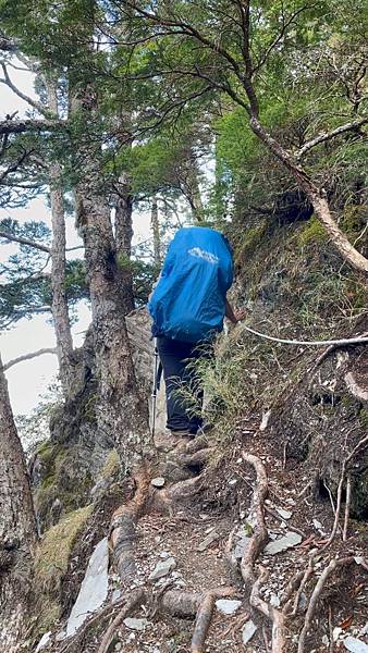 B3A93465-4D27-40FA-A04B-4504E1319CCA.poster B3A93465-4D27-40FA-A04B-4504E1319CCA.poster