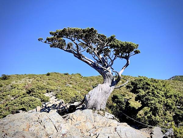 72FC9645-FD6E-48DB-8893-7A6BCE23F9DA_1_105_c 72FC9645-FD6E-48DB-8893-7A6BCE23F9DA_1_105_c