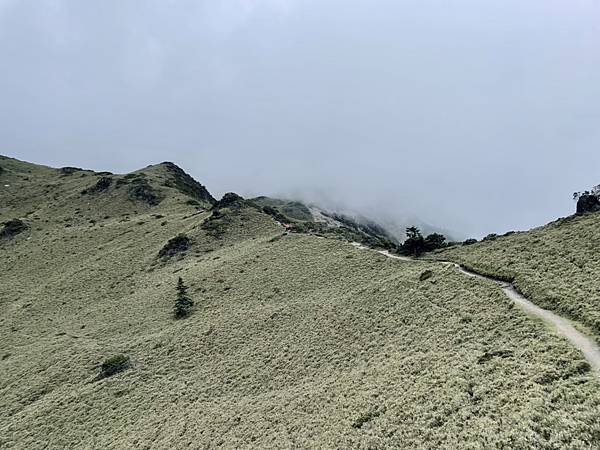 B0A29F4B-36B1-472A-A0FA-8C503EE3ED9E_1_105_c B0A29F4B-36B1-472A-A0FA-8C503EE3ED9E_1_105_c