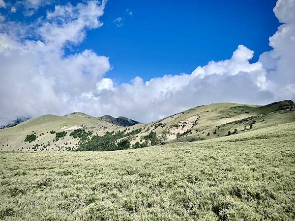 599E57D4-39B9-48DA-AA82-863DD105E070_1_105_c 599E57D4-39B9-48DA-AA82-863DD105E070_1_105_c