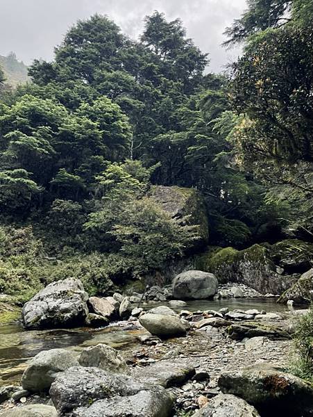 A660A54A-B363-4331-8A40-555B2D87936A_1_105_c A660A54A-B363-4331-8A40-555B2D87936A_1_105_c