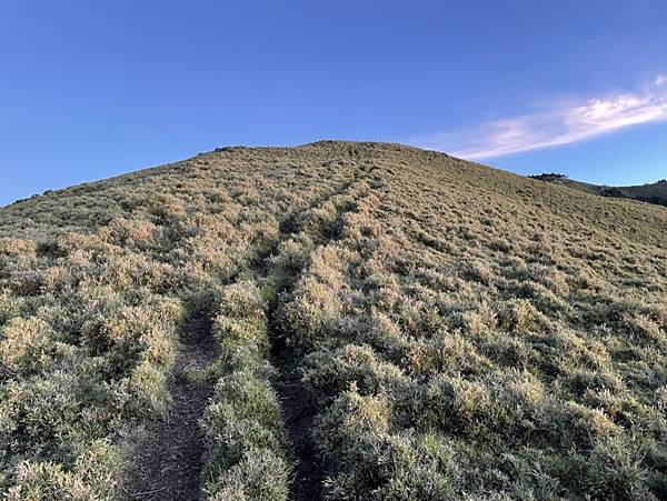 E8B8DD3C-8E22-485A-98D2-CB2A8F8893A6_1_105_c E8B8DD3C-8E22-485A-98D2-CB2A8F8893A6_1_105_c