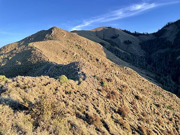 46190955-4F28-43ED-AB95-AC92CAC291E3_1_105_c 46190955-4F28-43ED-AB95-AC92CAC291E3_1_105_c