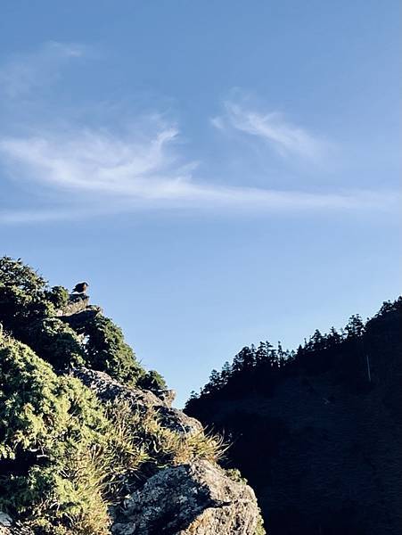 72A31258-4B77-4817-BF03-68709F36F252_1_105_c 72A31258-4B77-4817-BF03-68709F36F252_1_105_c