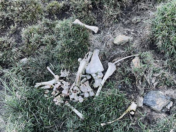 66A26642-0636-465A-A973-46503E77B54C_1_105_c 66A26642-0636-465A-A973-46503E77B54C_1_105_c