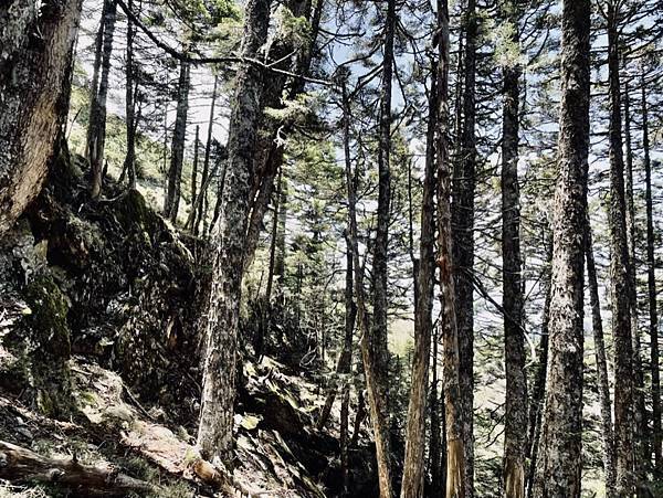 90B5024A-CFE6-4232-91D6-A51D4AEF3C17_1_105_c 90B5024A-CFE6-4232-91D6-A51D4AEF3C17_1_105_c