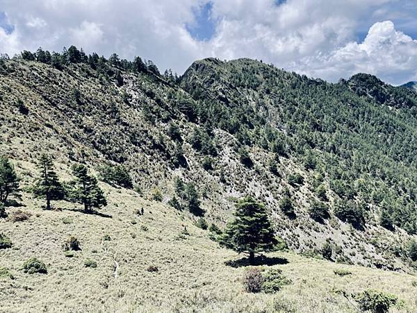 E290026E-9F84-44A0-A523-656B6F1A74A3_1_105_c E290026E-9F84-44A0-A523-656B6F1A74A3_1_105_c