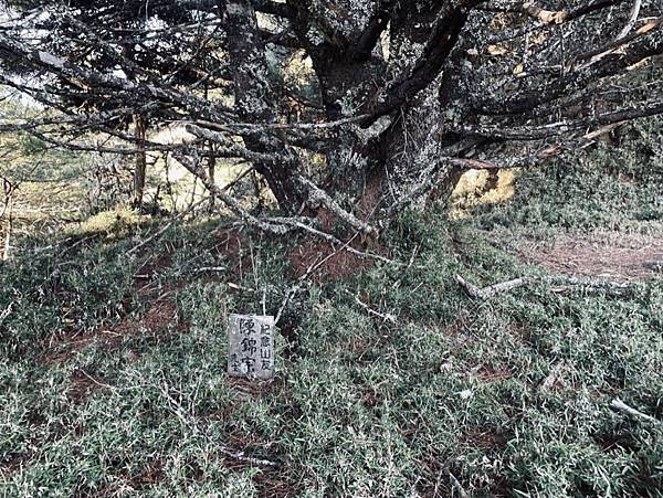 44A51968-3AAE-4709-8F39-D4E61440B818_1_105_c 44A51968-3AAE-4709-8F39-D4E61440B818_1_105_c