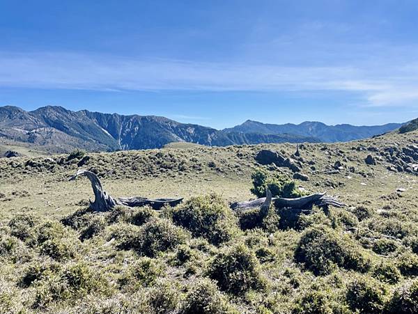 2B087603-897C-4385-8A57-B19E9346319F_1_105_c 2B087603-897C-4385-8A57-B19E9346319F_1_105_c