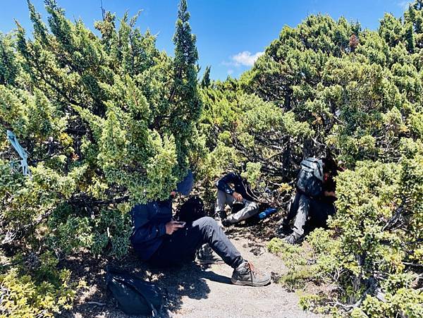 FE98F8E2-B346-4988-A631-49824D66030F_1_105_c FE98F8E2-B346-4988-A631-49824D66030F_1_105_c