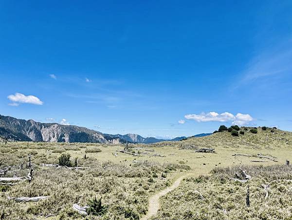 7AB259DC-8926-4FB1-A157-A2E353F8560B_1_105_c 7AB259DC-8926-4FB1-A157-A2E353F8560B_1_105_c