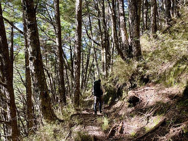 F3033209-E158-4231-8288-9F3C80C71897_1_105_c F3033209-E158-4231-8288-9F3C80C71897_1_105_c