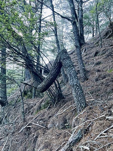 5511E066-099E-4574-B706-654EAA299034_1_105_c 5511E066-099E-4574-B706-654EAA299034_1_105_c