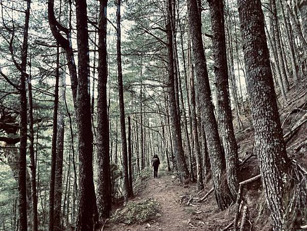 05D4A1DA-2C06-46E7-B887-333D7DD2FE8A_1_105_c 05D4A1DA-2C06-46E7-B887-333D7DD2FE8A_1_105_c