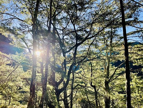 C79DF778-A6FE-4530-822C-23D79DCB8173_1_105_c C79DF778-A6FE-4530-822C-23D79DCB8173_1_105_c