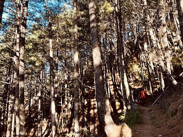 450E4F67-F3A0-4A0B-A926-1821F9AA7278_1_105_c 450E4F67-F3A0-4A0B-A926-1821F9AA7278_1_105_c