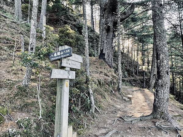 F23A46B1-34D4-48B6-8FA9-C143B5337437_1_105_c F23A46B1-34D4-48B6-8FA9-C143B5337437_1_105_c