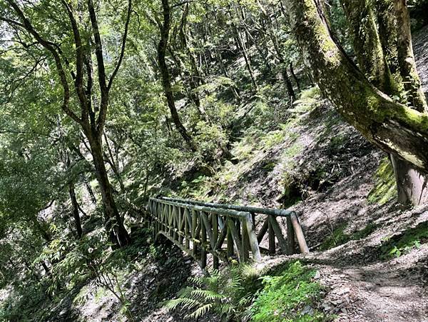 E0F83133-5274-4AB9-BF23-BA5E5A56B2E0_1_105_c E0F83133-5274-4AB9-BF23-BA5E5A56B2E0_1_105_c