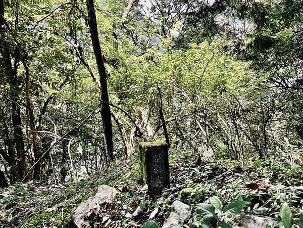 76631286-4CF4-4CEA-B575-E626CC6ABD89_1_105_c 76631286-4CF4-4CEA-B575-E626CC6ABD89_1_105_c